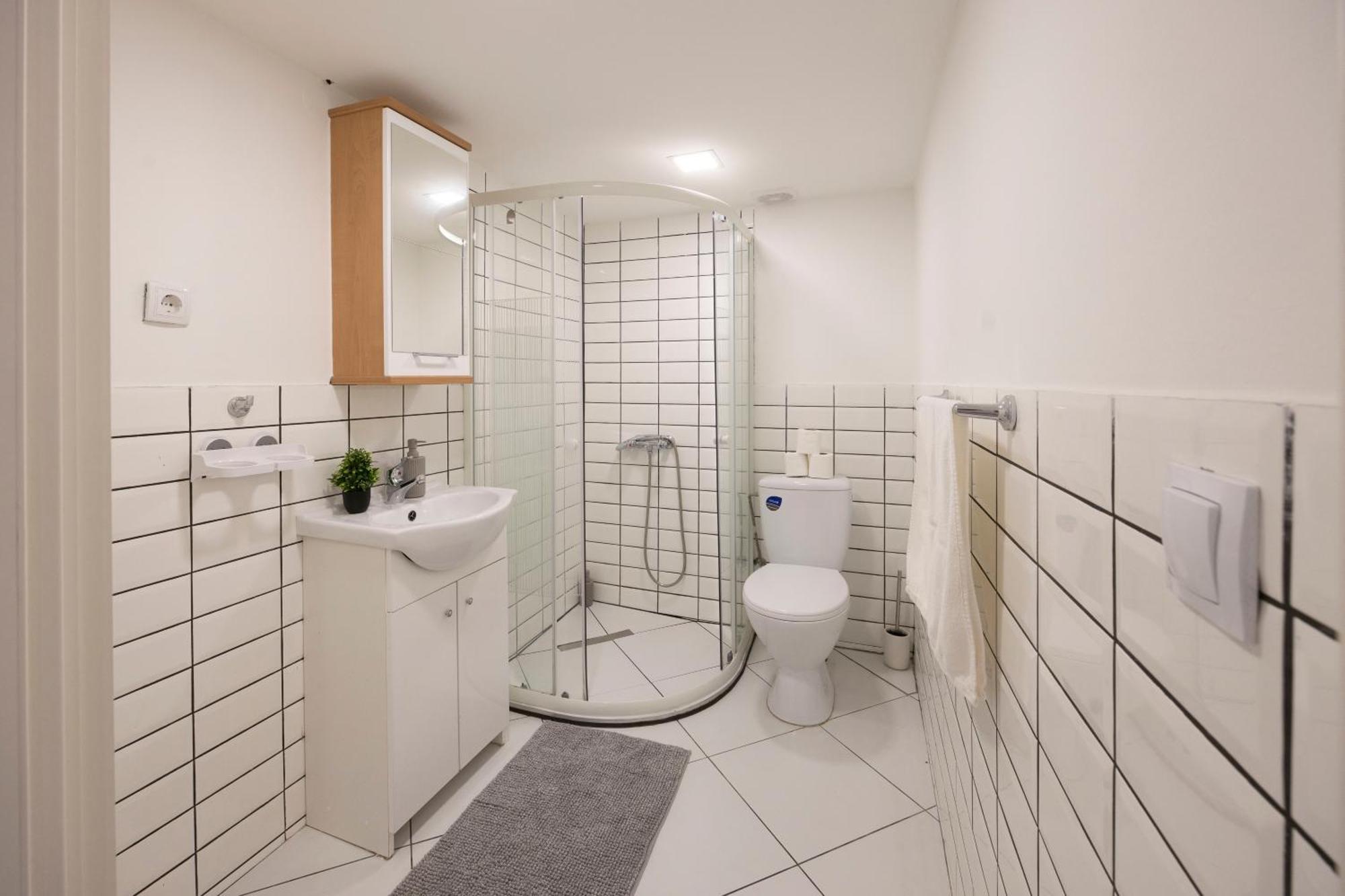 Charming Grand In The Heart Of Apartment *